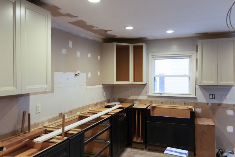 Cabinet Restyling