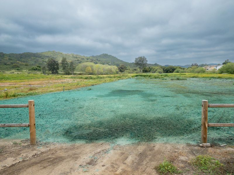 Hydroseeding Service