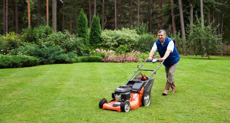 Lawn Cutting Service
