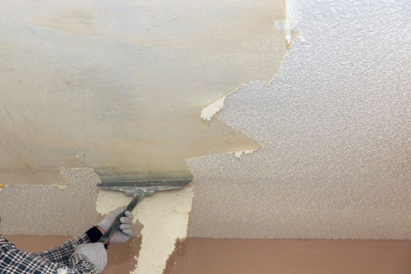 Textured Ceiling Removal