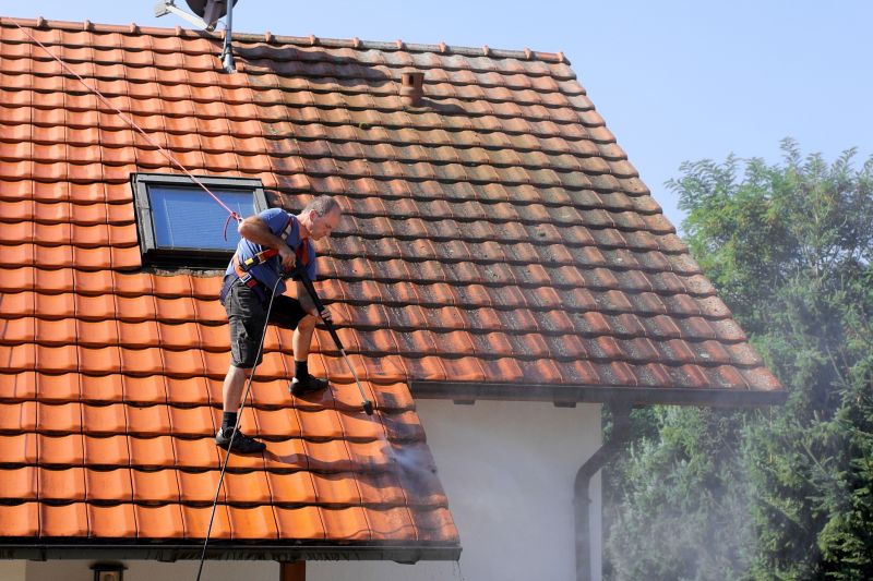 Tile Roof Cleaning